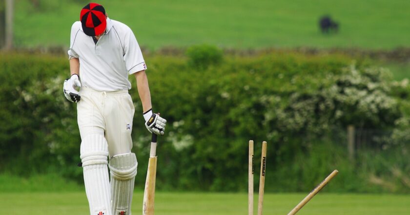 Understanding Cricket Betting Odds for Success